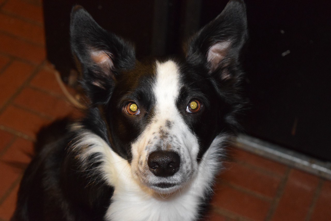 Today's Eddie image